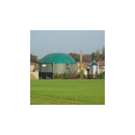 biogas-plants-8973