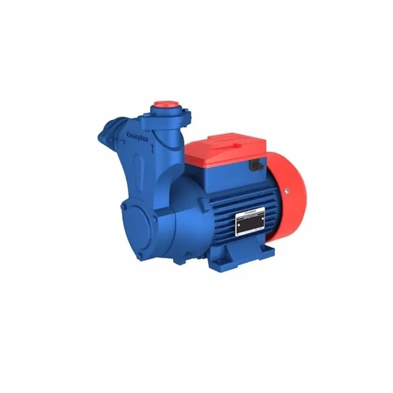 Crompton MASTER PLUS I 1 HP Self Priming Pump Image 1