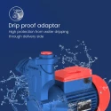  Crompton MASTER PLUS I 1 HP Self Priming Pump Image 3