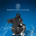  Crompton NILE DURA I 1 HP Self Priming Pump Image 3