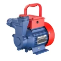 Crompton NILE PLUS I 1 HP Self Priming Pump Image 1