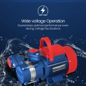  Crompton AQUAGOLD 100-33 1 HP Self Priming Pump Image 5
