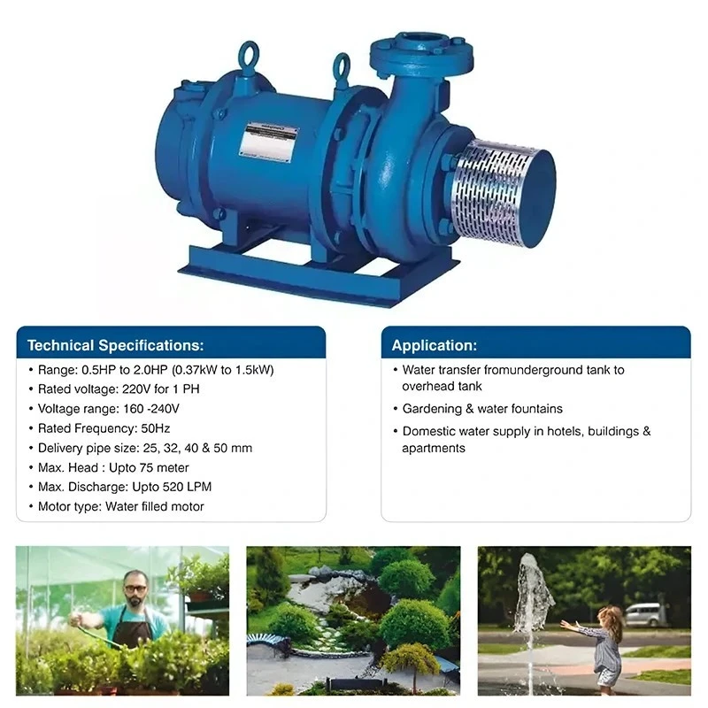  Crompton OWHE12-30(3PH) 1 HP Openwell Submersible Pump Image 3