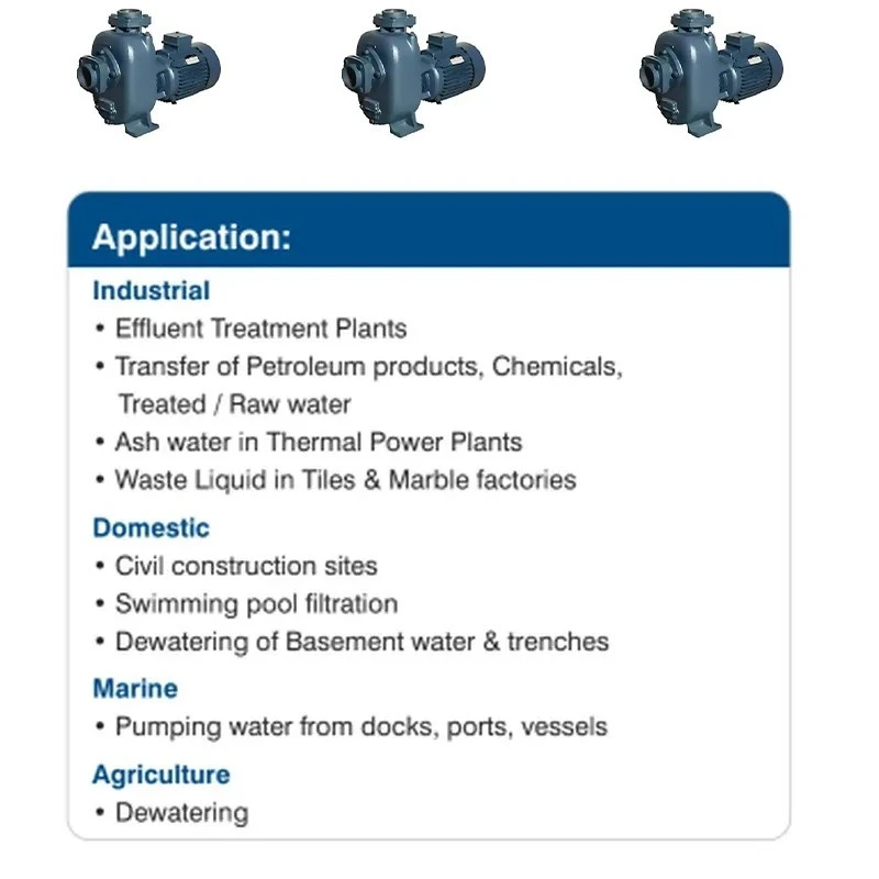  Crompton DWMM32-18GP 3 HP Dewatering Monoblock Pumps Image 5