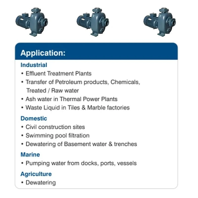  Crompton DWMQ52 5 HP Dewatering Monoblock Pumps Image 5