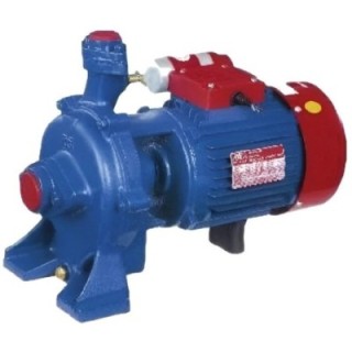 Crompton TMEP2 2 HP Centrifugal Monoblock Pumps Image 1