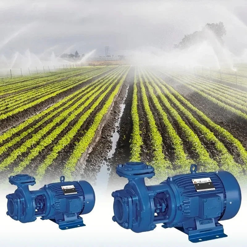  Crompton MIKH22-27 2 HP Agriculture Pumpsets Image 4