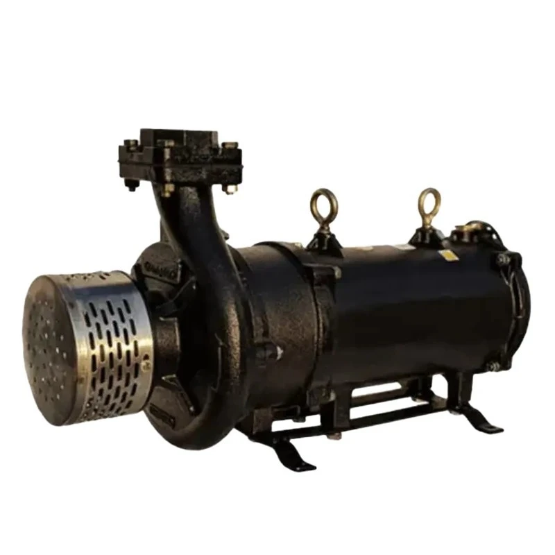  Crompton OWM22(1PH)G-23 2 HP Horizontal Openwell Submersible Pump Image 2