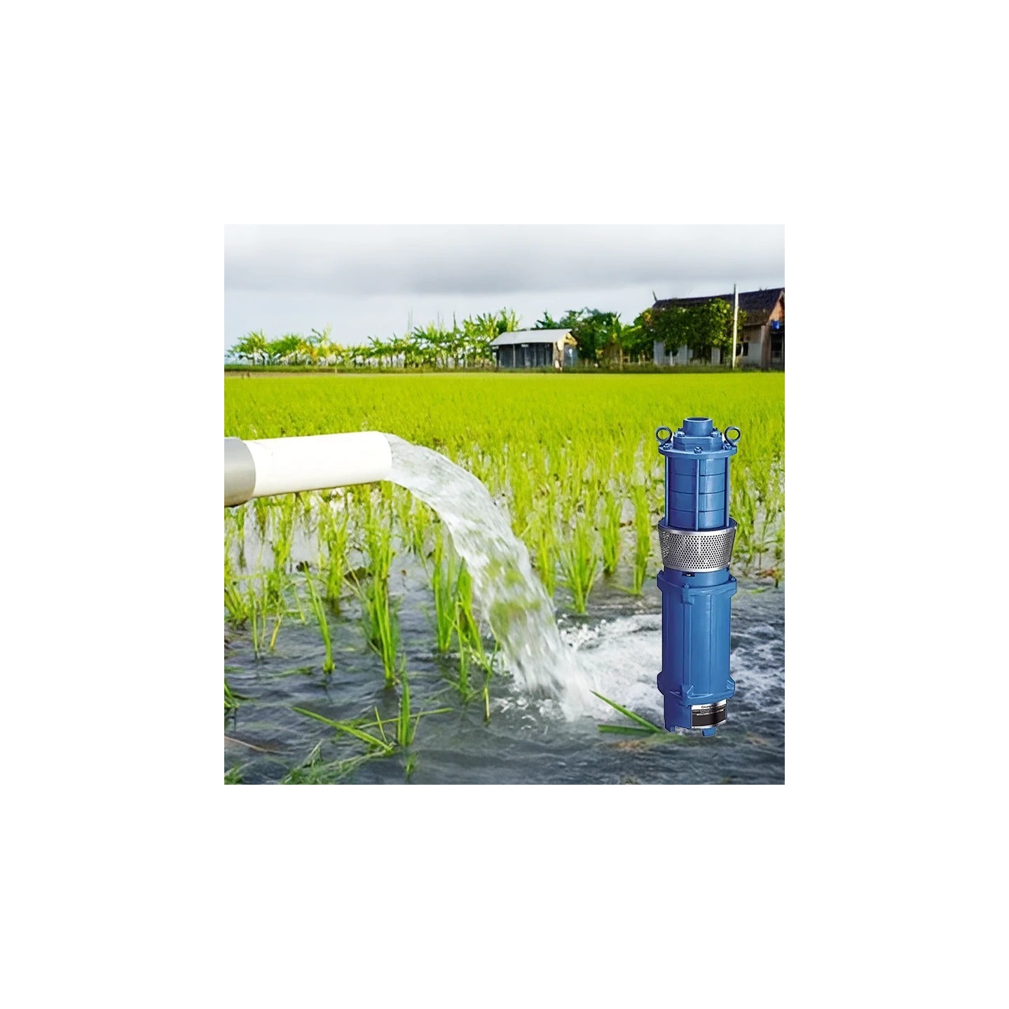 45R45rpm ドットわかめ Buy Crompton 5 HP CROSV2T30-5 Submersible Pumps at Best Price