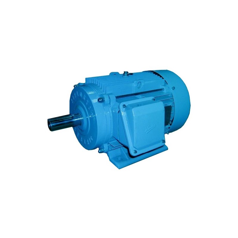 Buy Kirloskar 37 kW/50 HP 3 Phase IE2 Induction Motor (RC200L)