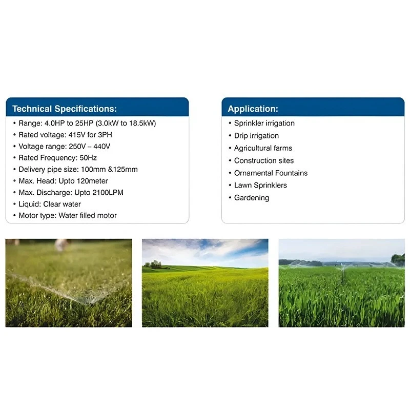  Crompton JS2L12.5DU 12.5 HP Water Filled Submersible Pumpset Image 3