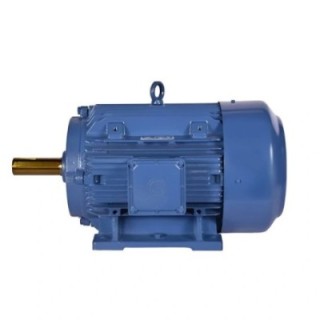 Bharat Bijlee 2H20L2A3CT000 40 HP Induction Motor image-1