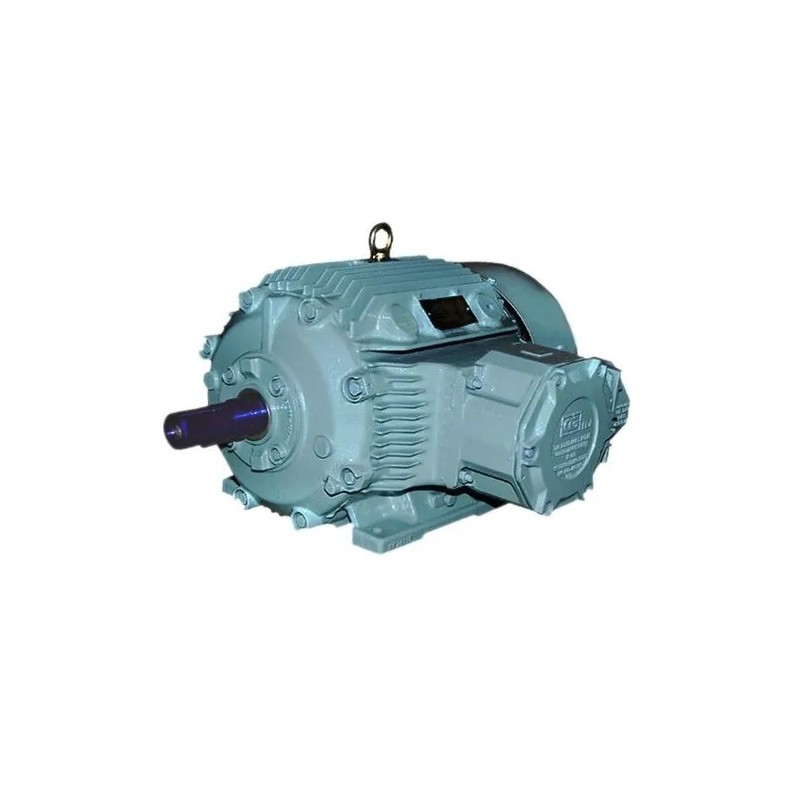 cg-3-hp-1440-rpm-3-phase-foot-mounting-electric-motor-10603