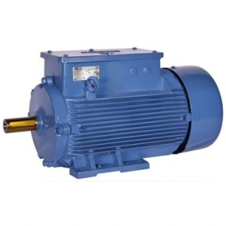 Bharat Bijlee MC10L83300000 2 HP Crane & Hoist Duty Motor image-1
