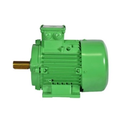 Bharat Bijlee 4H13S4F3 7.5 HP LSPM Induction Motors image-1