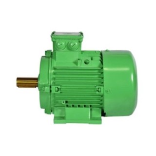 Bharat Bijlee 4H16M4N3 15 HP LSPM Induction Motors image-1