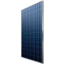 vikram-solar-poly-crystalline-330-watt-solar-panel-12230
