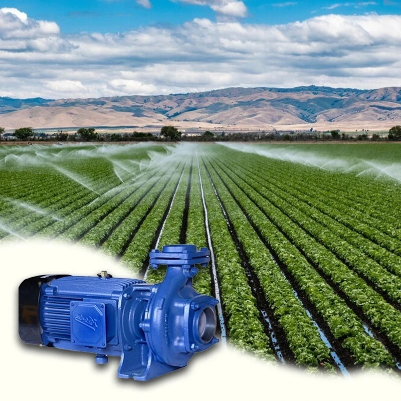  Kirloskar 5 HP KDI-515 EE2 CI Monoblock Pump Image-7