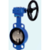 Butterfly Valve with Gear Operated C.I. DISC(40 mm)