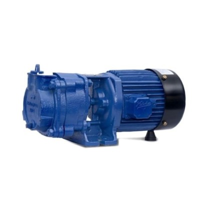 Kirloskar 1 HP KV-20 Vacuum Pump Image-1