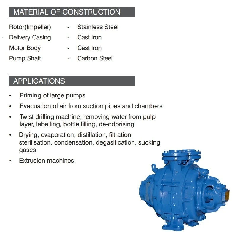  Kirloskar 5 HP DV-40 Bare Shaft Vacuum Pump Image-7