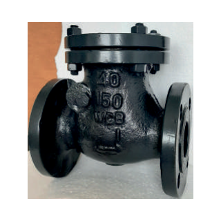 flange-end-swing-check-valve-12682