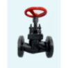 Globe Valve Cast Iron (25 mm)