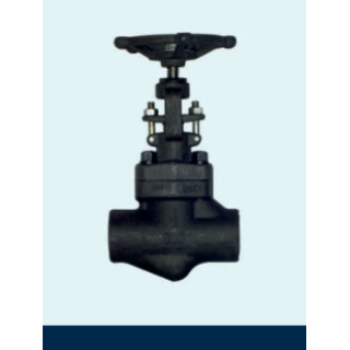 forged-steel-globe-valve-12701
