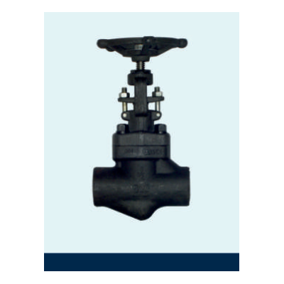 forged-steel-globe-valve-12701