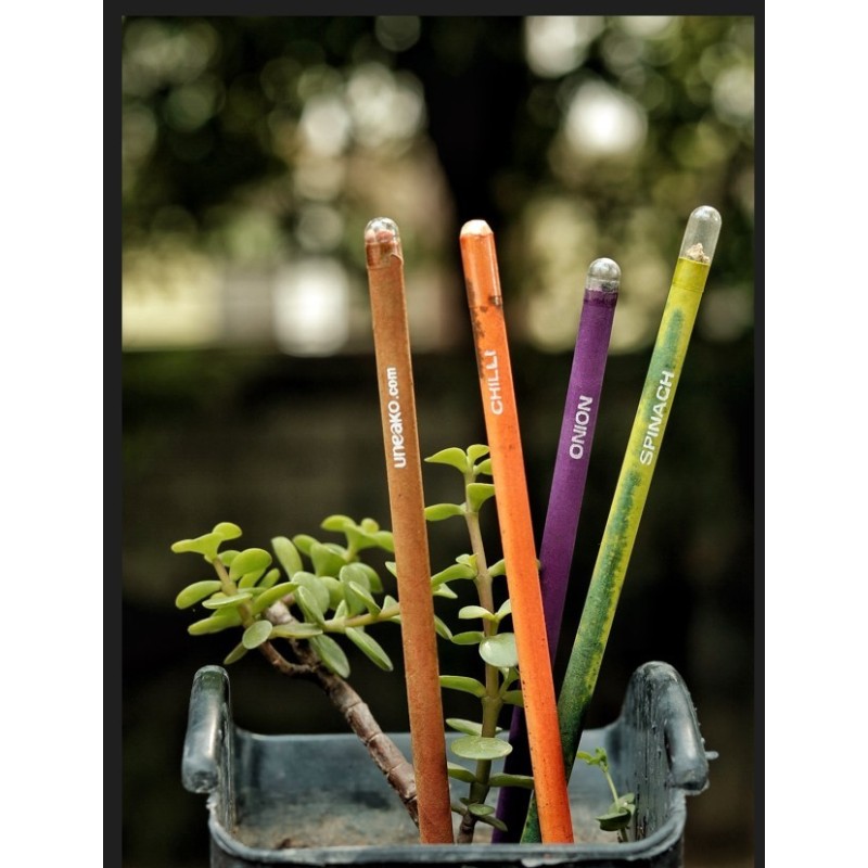 plantable-pencils-11754