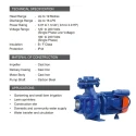  Kirloskar 2 HP KAM-213 CII Monobloc Pump Image-6