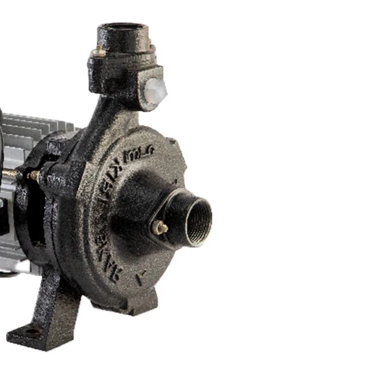  Kirloskar 0.5 HP PAMBA PUZHA Monobloc Pump Image-3