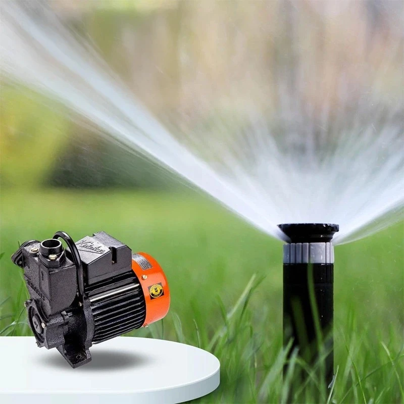  Kirloskar 1 HP MINI 50C-3P Self Priming Pump Image-3