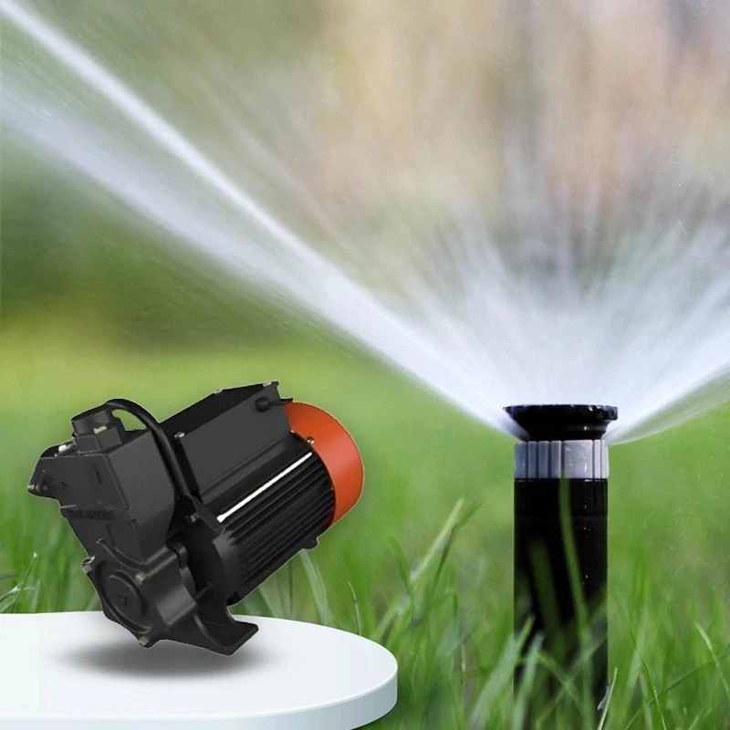  Kirloskar 1 HP Kirloskar Image-3