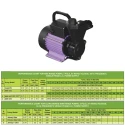  Kirloskar 0.5 HP KBL MINI JALTARA II GOLD Self Priming Pump Image-7