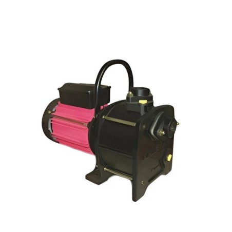 Kirloskar 1 HP LIFTER-100 Shallow Well Pump Image-1