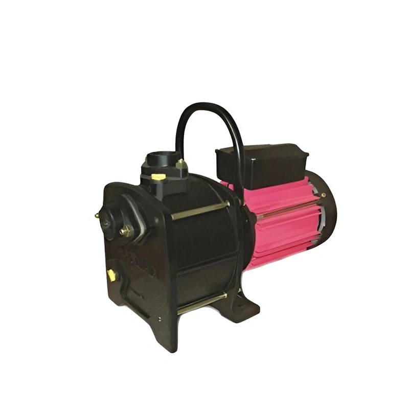  Kirloskar 0.5 HP LIFTER-75 Shallow Well Pump Image-2
