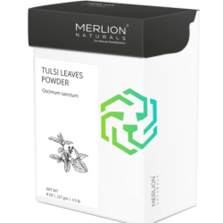 tulsi-leaves-powder-ocimum-sanctum-11973