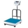 Stainless Steel Platform Balance DW-1000PF/100 PF