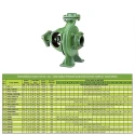  Kirloskar 5 HP 100 KE-215+ End Suction Pump Image-4
