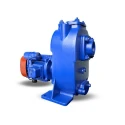  Kirloskar 3 HP SP-2HM CI Self Priming Monoblock Pump Image-2