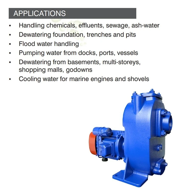  Kirloskar 3 HP SP-2HM GMI Self Priming Monoblock Pump Image-6