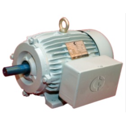 crompton-rhino-series-1-phase-4-hp-4-pole-foot-mounted-induction-motor-gf7004-12261-1