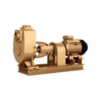 Kirloskar 3 HP SP-2H EE5 3C2 Self Priming Pumpset Image-1