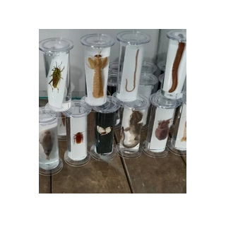 specimen-jars-with-bakelite-screw-cap-suitable-for-culture-14488