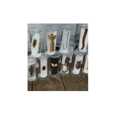 specimen-jars-with-bakelite-screw-cap-suitable-for-culture-14488