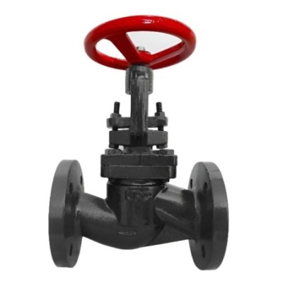 UPC Cast Iron Globe Valve UPC-GBV-426 IBR Certified image-1