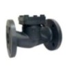 Cast Iron Lift Check Valve IBR Certified