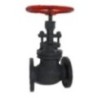 Cast Steel Globe Valve Class 150 Pressure Rating IBR Certified