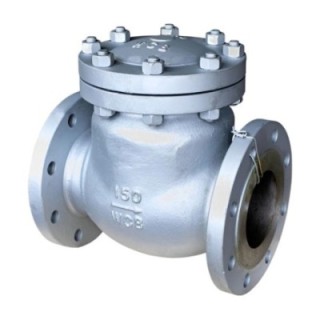 UPC Flange End Swing Check Valve UPC-FSCV-425 Class 150 image-1